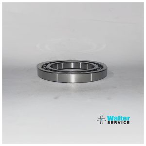 0750116482 CUSCINETTO